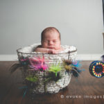 newborn composite image in studio