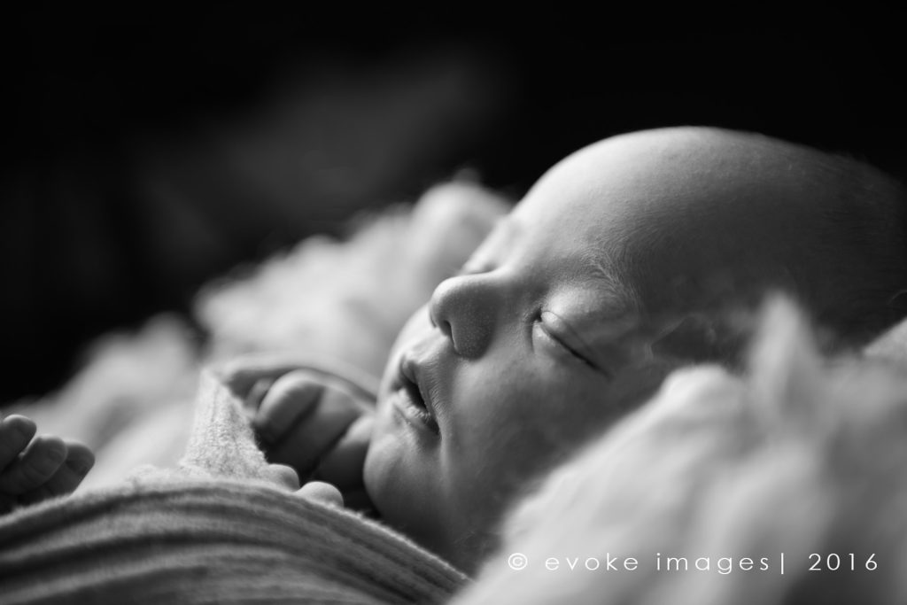 EvokeImagesAkNewbornPhotography-42