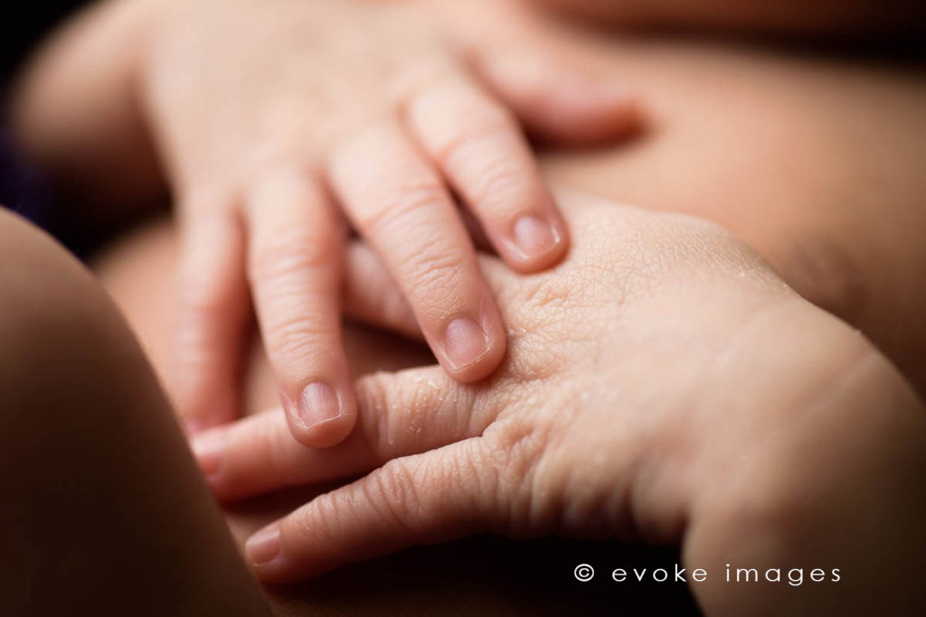 baby hands newborn details fingers little girl