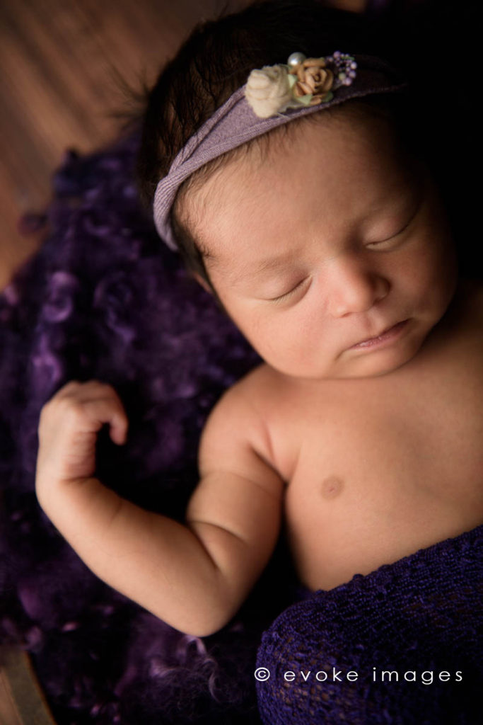 newborn baby girl anchorage studio purple 