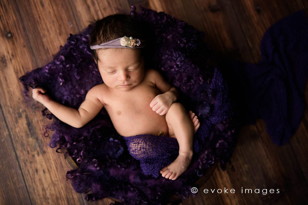 newborn baby girl in a bowl purple wool curls