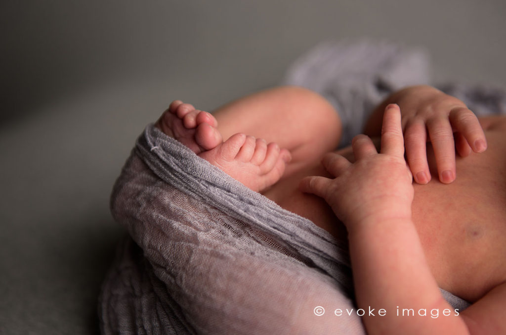 anchorage photographer newborn baby toes and fingers